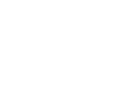 Schorn.io